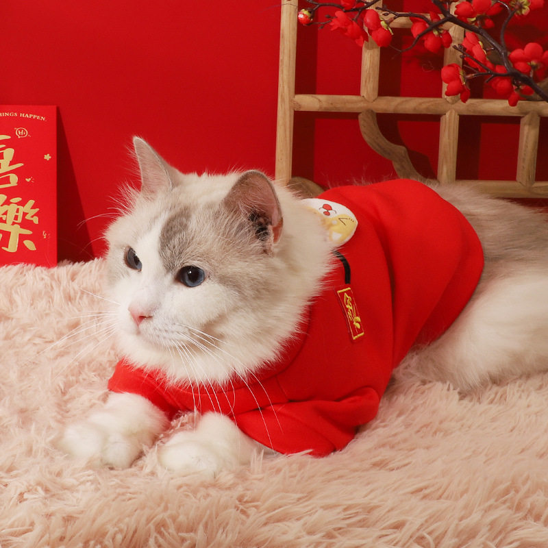 猫咪衣服新年拜年幼猫英短宠物过年冬季保暖猫猫过年红包可爱冬装