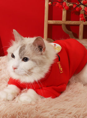 猫咪衣服新年拜年幼猫英短宠物过年冬季保暖猫猫过年红包可爱冬装