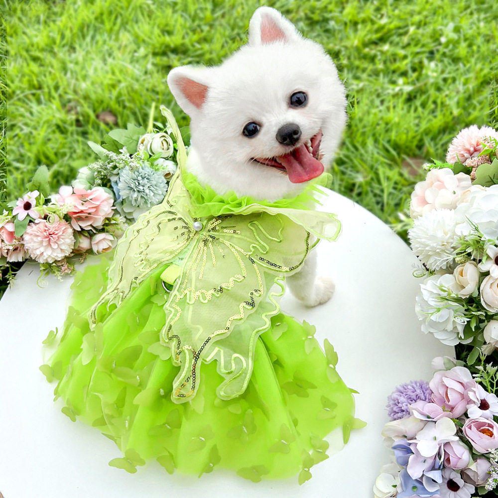 宠物狗狗猫咪公主连衣裙子绿色夏季婚纱仙气用品衣服蕾丝蝴蝶泰迪