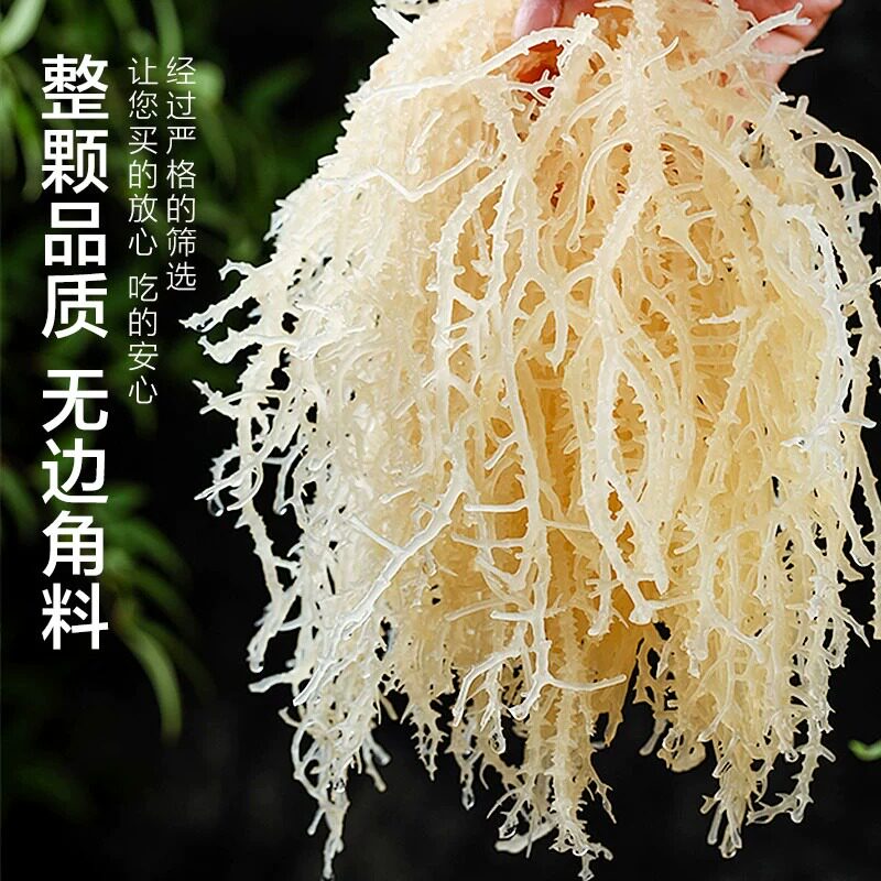龙须菜石花菜鹿角菜海藻海石花珊瑚草裙带菜干货凉拌商用