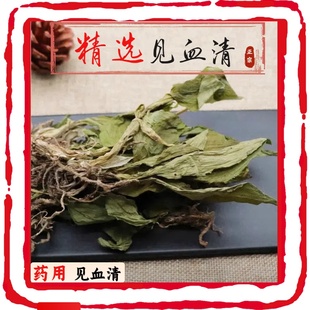 见血清草药中药材天然500g中草药新鲜干货整颗见血清苗羊耳蒜野生