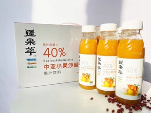 疏附县中亚小果沙棘果汁饮料300ML 12瓶