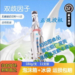 亚奥特双歧因子180g11支低温优质乳酸菌酸奶饮料泰安特产顺丰速运