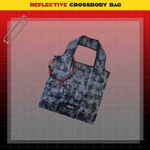 地方」巡回演唱会官方折叠收纳袋 王力宏「最好 预售15天