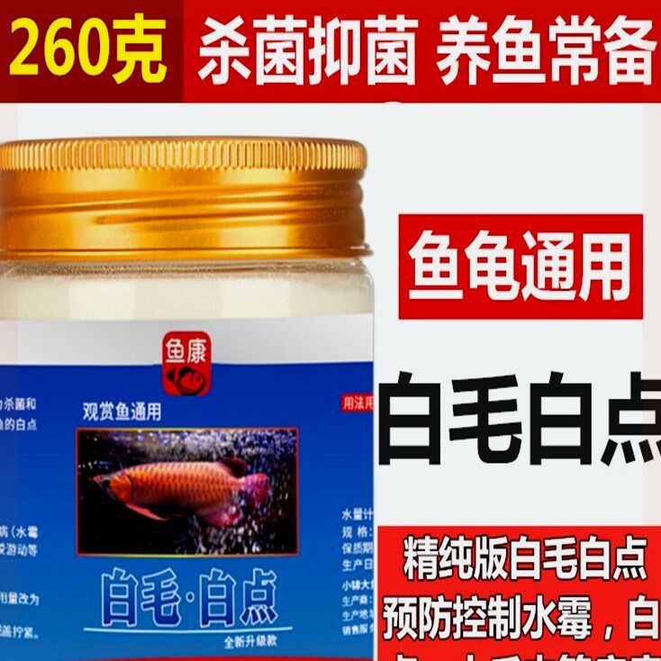白毛白点净鱼用治疗小瓜虫水霉病观赏鱼病锦鲤血鹦鹉龟用白点净