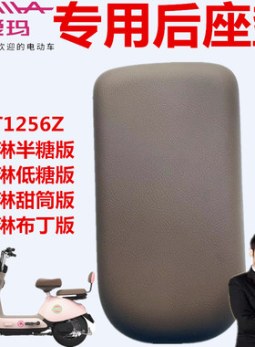 爱玛电动车冰淇淋半糖低糖甜筒布丁版TDT1256Z引擎芯动力后座垫板