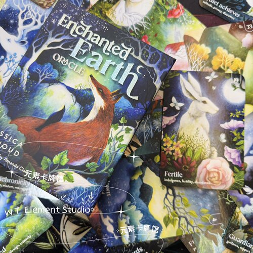 现货 进口正版 Enchanted Earth Oracle 迷人大地神谕卡