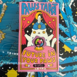 订 送牌袋 进口正版 Paws Tarot 猫爪塔罗牌