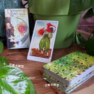 送牌袋 进口正版 Dreaming Way Tarot 梦想之路塔罗牌