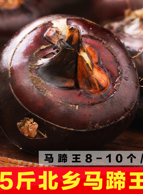 马蹄王韶关乐昌北乡无渣马蹄 新鲜农家绿色蔬菜荸荠 即食水果礼盒