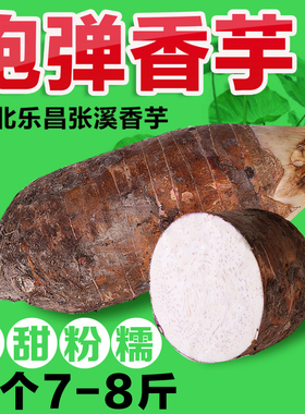 正宗韶关乐昌张溪香芋 农家新鲜绿色蔬菜炮弹芋 槟榔芋特大7-8斤