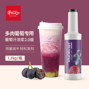 新日期浓缩红葡萄汁饮料奶茶店果酱浓浆果汁荔枝百香果红芭乐水蜜