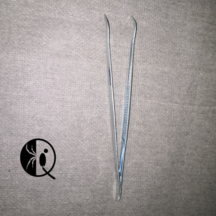 爬宠镊子喂食清理宠物蜘蛛