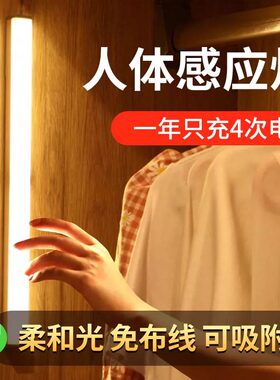 充电款无线感应灯免开槽书柜鞋柜灯橱柜酒柜灯条【禁同店凑满减】