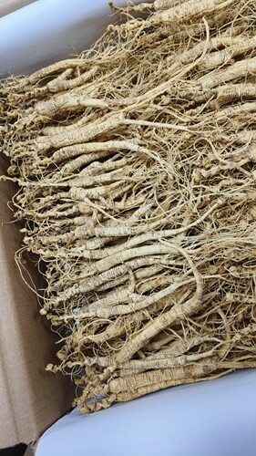 长白山林下参干 足干  已直播实物为准