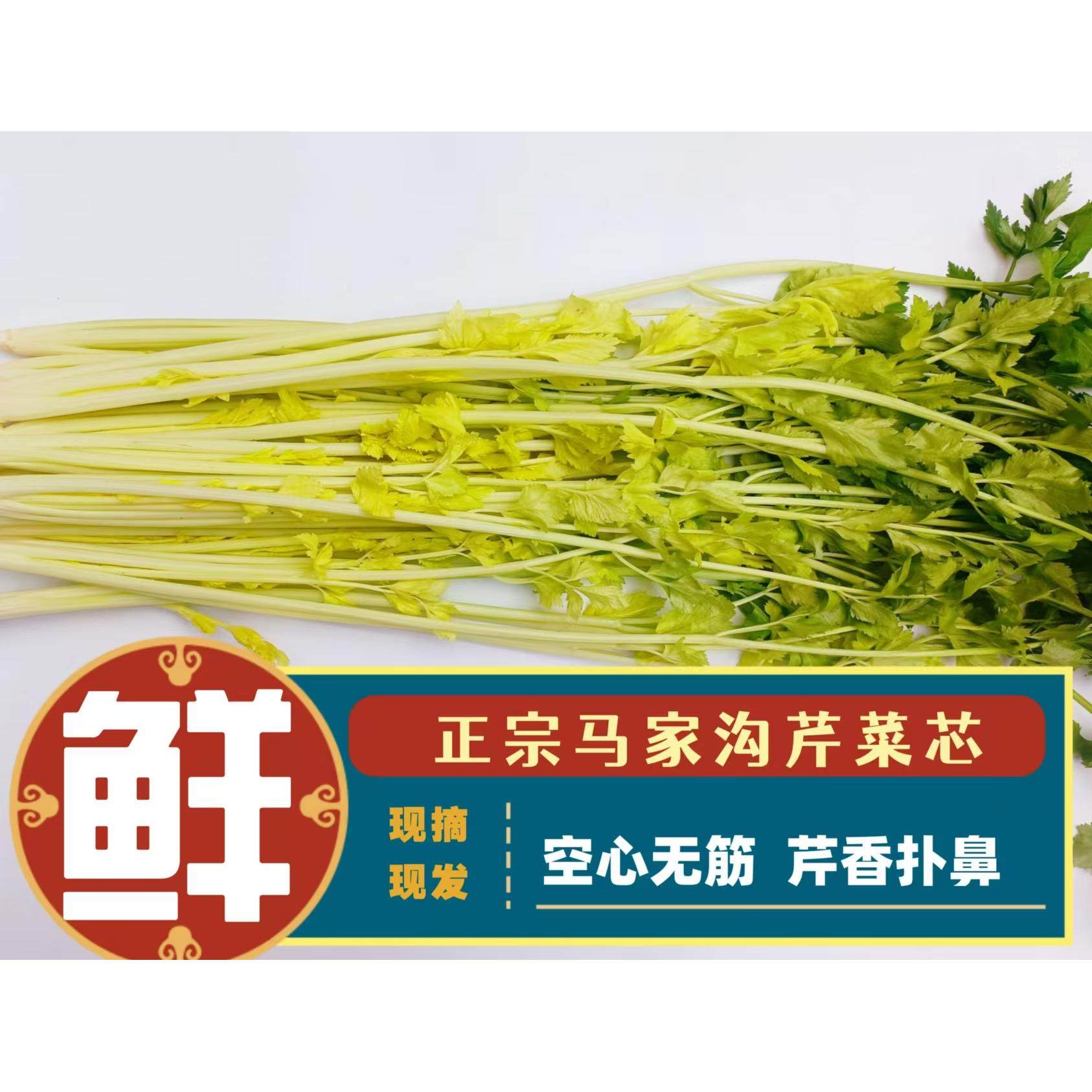 平度马家沟芹菜山东青岛特产空心大叶黄新鲜蔬菜玻璃脆嫩芯包邮