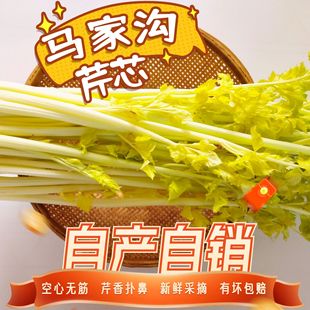 平度马家沟芹菜山东青岛特产空心大叶黄新鲜蔬菜玻璃脆嫩芯包邮2