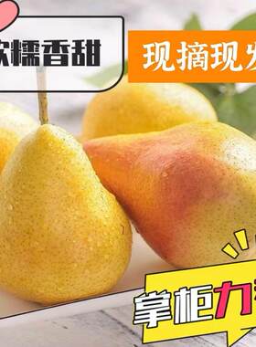 烟台太婆梨新鲜水果黄金丑梨香蕉软梨车轴大头梨啤梨鸭梨茄梨包邮