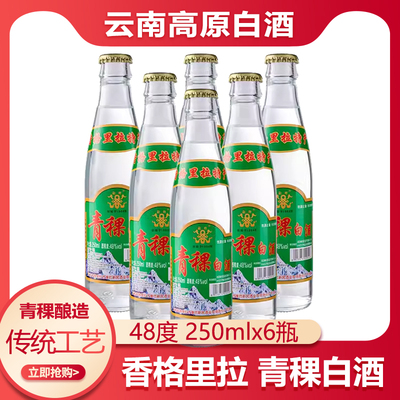 藏极青稞酒48度250ml*6瓶