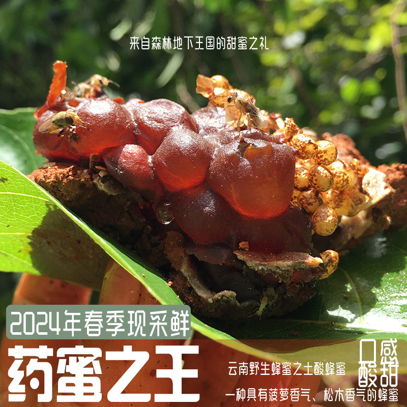 老巢蜜野生土酸蜂蜜无刺蜂云南药蜜百花蜜