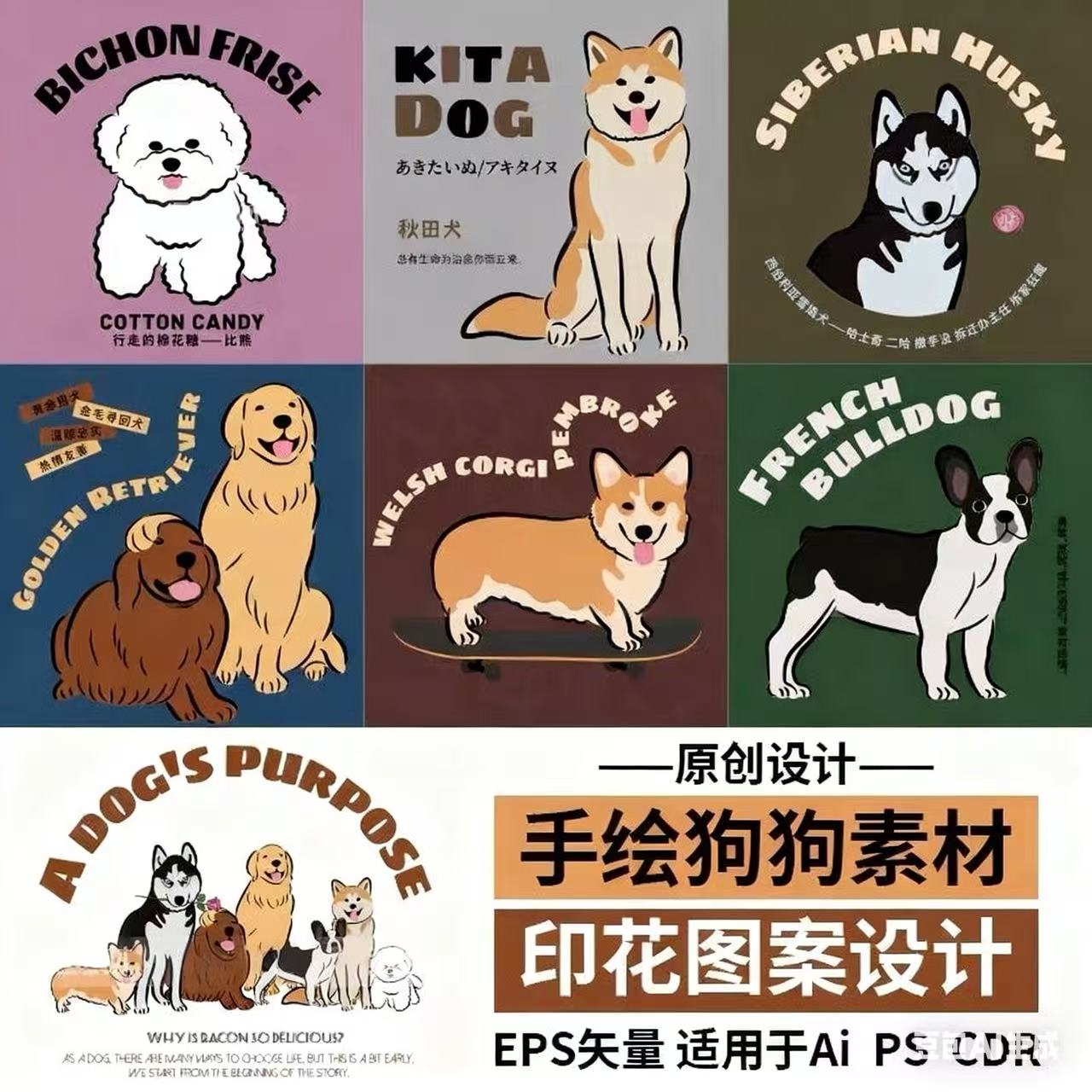 EPS金毛柯基哈士奇比熊秋田犬法斗宠物狗素材服装T恤印花图案素材