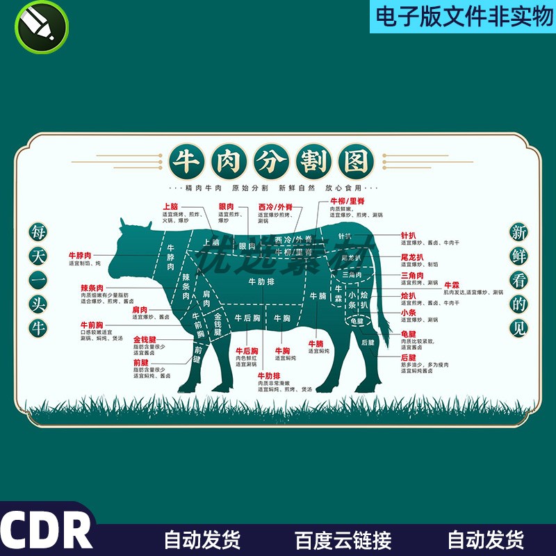 牛肉分割图牛肉部位分割图牛肉分布示意图牛肉标注图介绍素材模板