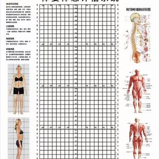 体资体态评估表评估电子版源文件素材