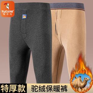 加绒加厚保暖裤 大码 男中年高腰驼绒秋裤 棉裤 防寒打底裤 啄木鸟冬季
