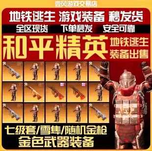 和平地铁逃生装备aug七级套小金人338金枪墨守闪光盾手弩雪隼大量
