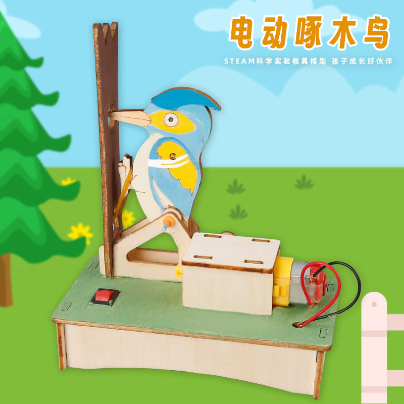 科技小制作手工电动啄木鸟学生