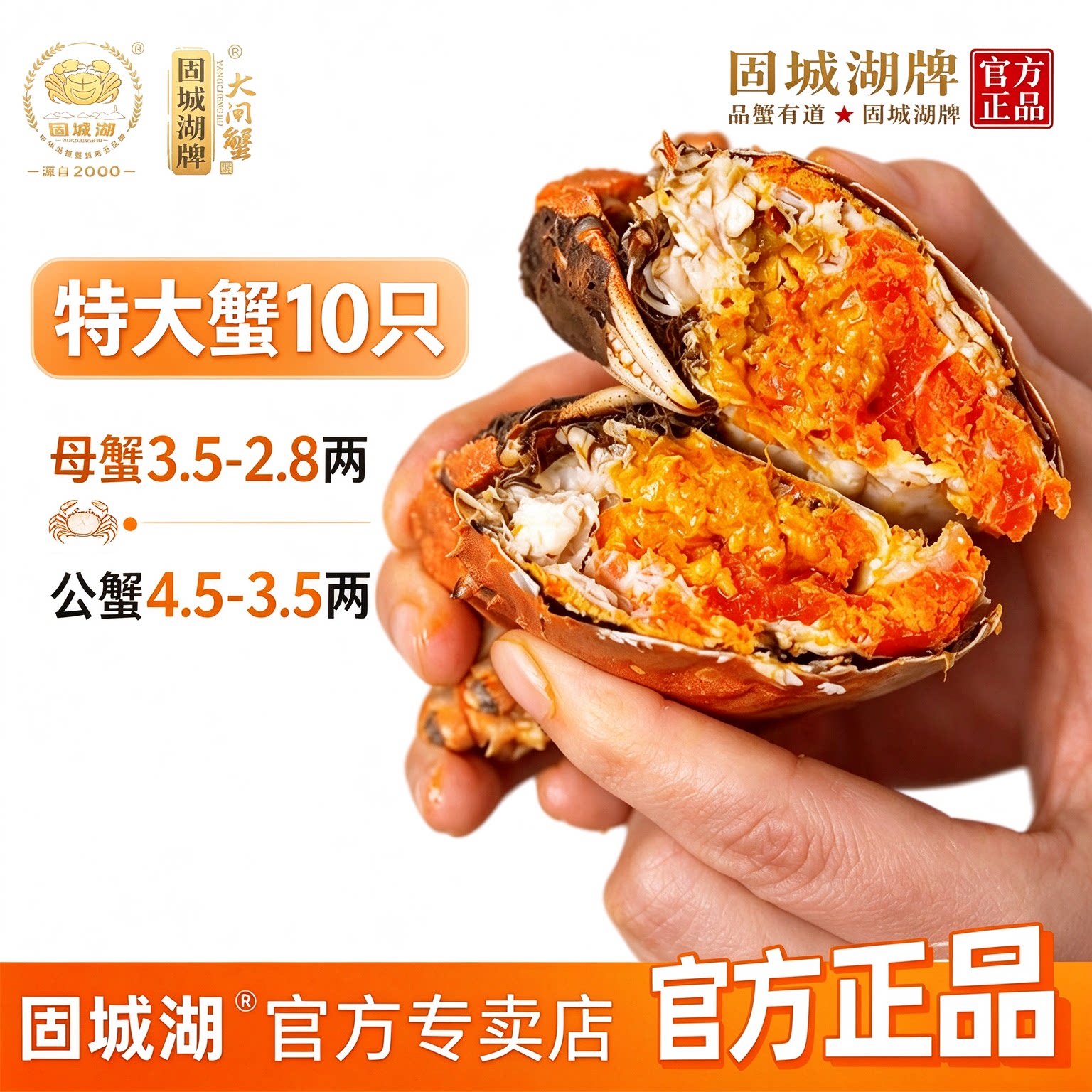 【活蟹】特大现货固城湖大闸蟹螃蟹鲜活公母蟹10只礼盒装顺丰空运