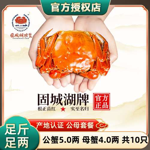 固城湖螃蟹10只公5.0两母4.0两