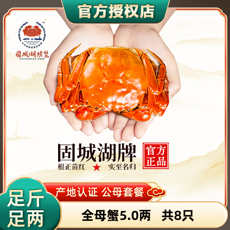 净重活蟹8只固城湖螃蟹特大5两母