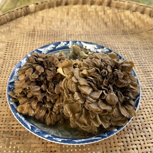 【燕麦行游】重庆石柱特产灰树花菌菌菇