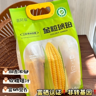 喜阿福富硒糯玉米8根/袋新货张家口黄糯玉米新鲜糯甜早餐低脂粗粮