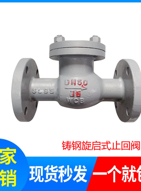 H44H-16C/25C铸钢旋启式法兰止回阀逆止阀40C 64C 100C卧式止回阀