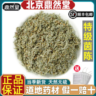 北京鼎然堂特级三月茵陈中药材白蒿茵陈茶绵茵陈菌陈蒿草野生道地