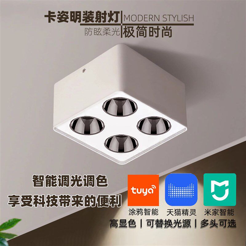 简约射灯格栅灯斗胆家用客厅四头吸顶明装无主灯洗墙防眩四头智能