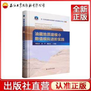 油藏地质建模和数值模拟进阶实践 9787518371037