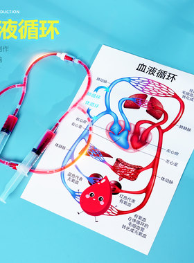 晋龙轩科技小制作手工DIY教具