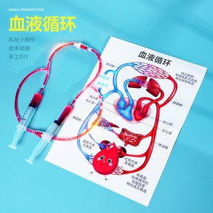 血液循环系统人体构造科技小制作小学劳作课材料包科学实验手工新