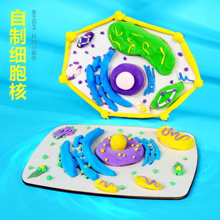 动植物自制细胞核初中高中生物教材同款实验手工科技小制作教具新