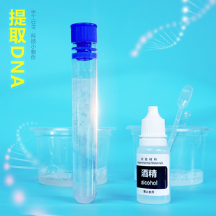 分离提取DNA中小学生物基因生命diy科学小实验科创STEM科技小制作
