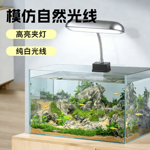 小型鱼缸led灯防水灯水草灯全光谱白光射灯专用照明灯爆藻溪流缸