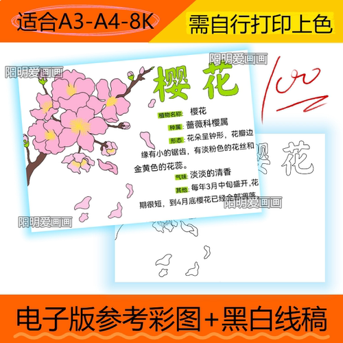 444 植物记录卡樱花手抄报