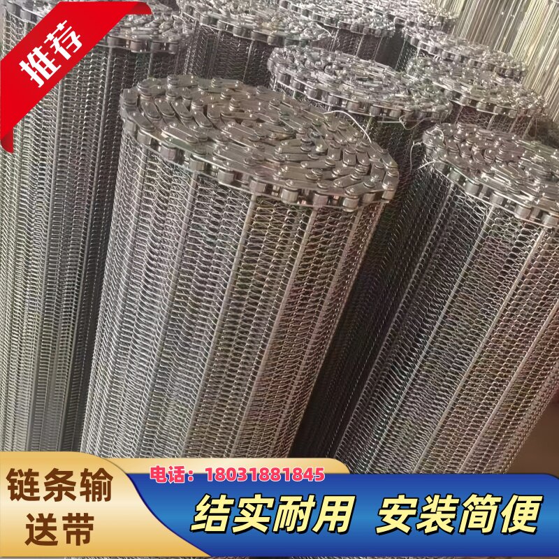 食品烘干输送带果蔬清洗输送网带耐高温加密型输送带链条型输送带
