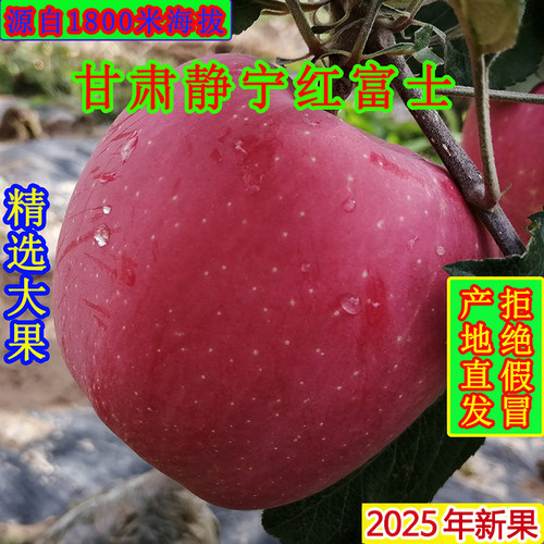 静宁苹果甘肃红富士鲜果包邮