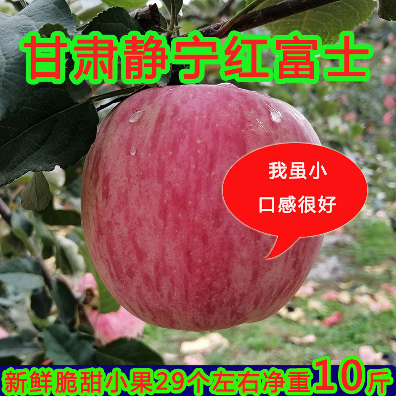 甘肃静宁苹果70#静宁红富士10斤包邮新鲜水果,水产肉类/新鲜蔬果/熟食,苹果,淘宝优惠券,粉丝福利购,淘宝优惠卷