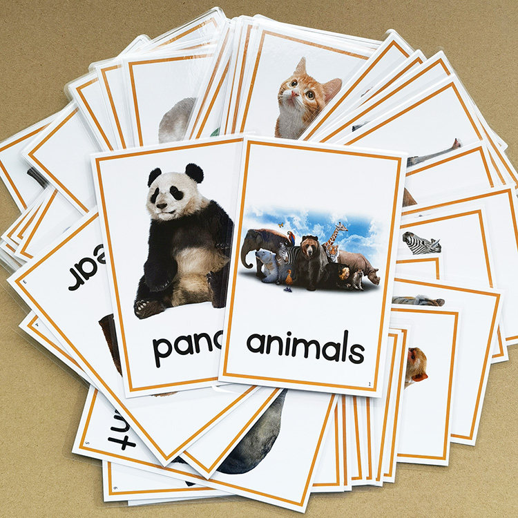 英语启蒙卡片动物认知卡片儿童单词闪卡宝宝早教玩具幼儿教师教具_虎窝淘