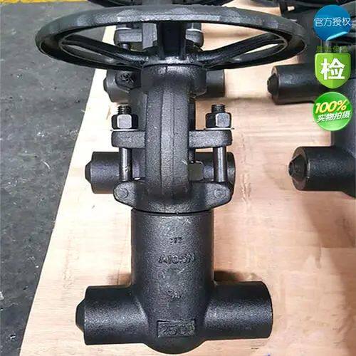 供应高压自密封法兰闸阀Z41H-2500LB高压阀门dn10-50